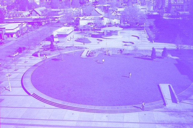 purple park power, film photograph by Robert Corrigan