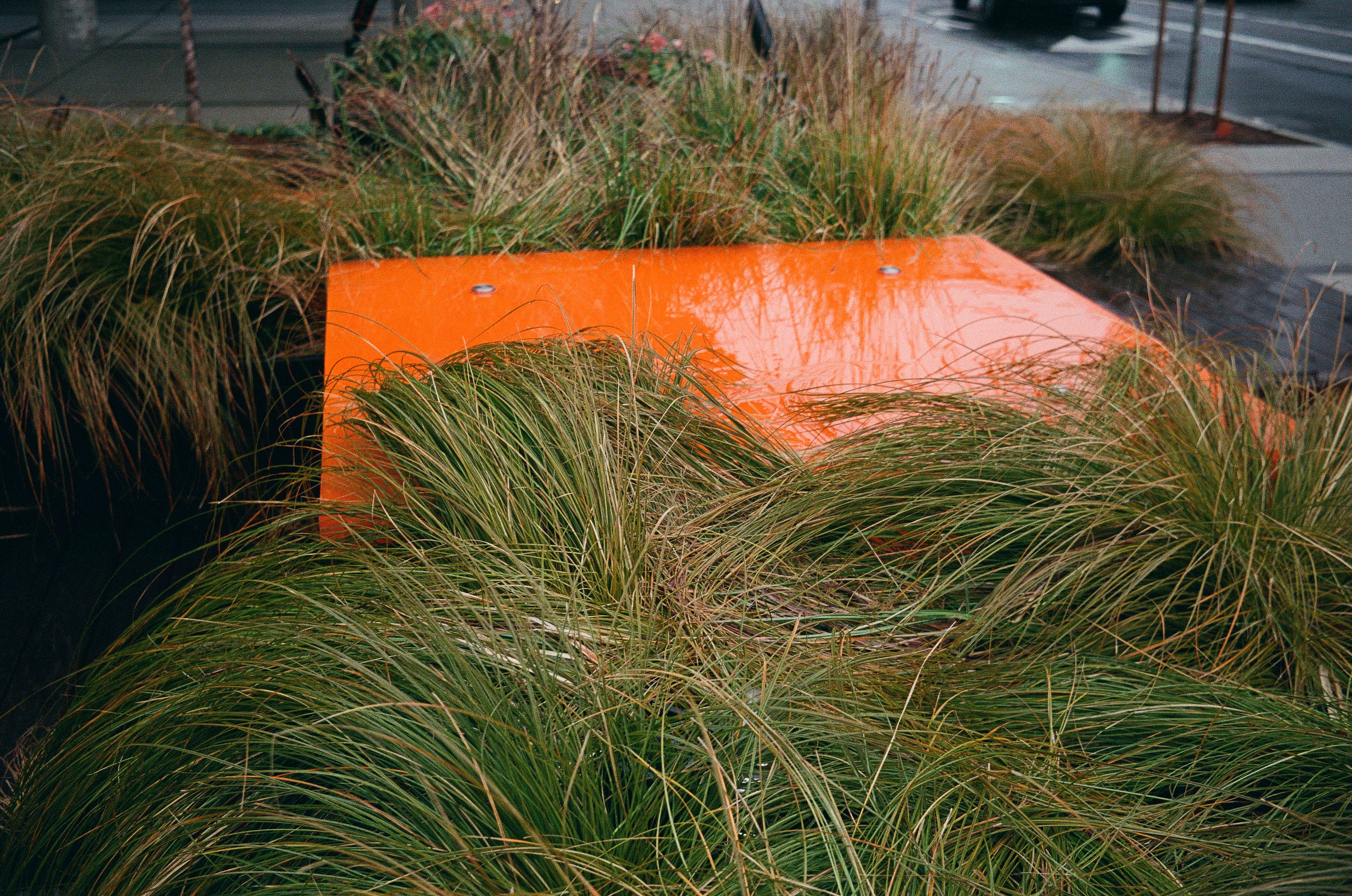 orange 1, film photograph by Robert Corrigan