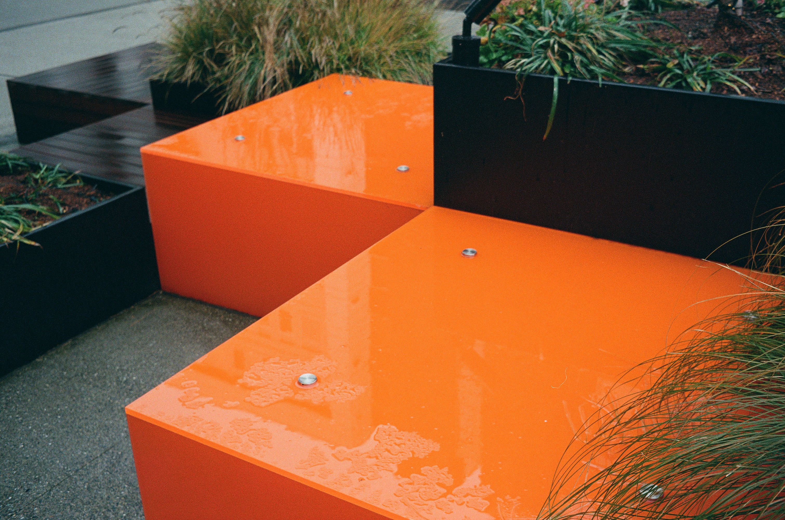 orange 2, film photograph by Robert Corrigan