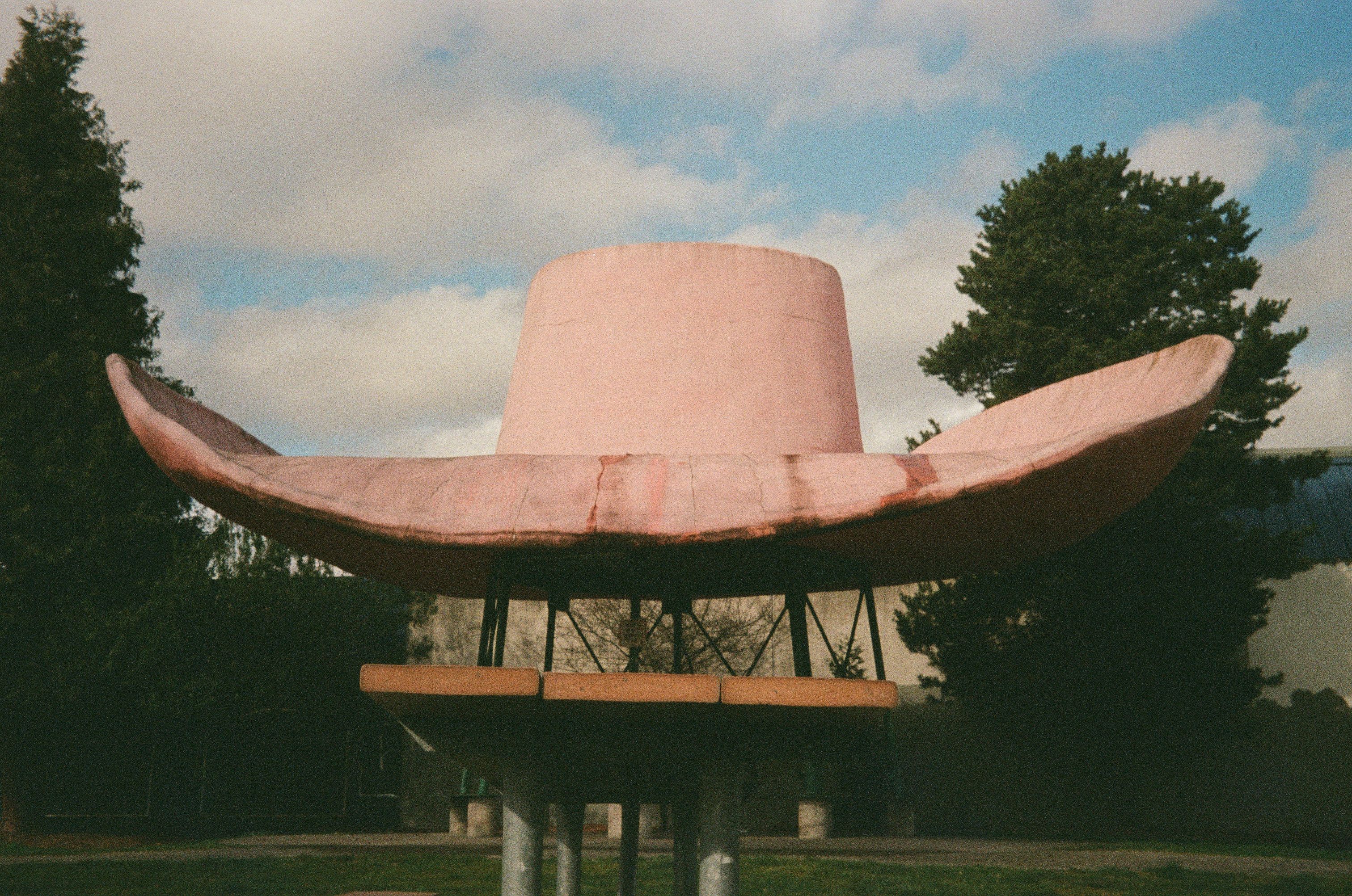 picnic hat, film photograph by Robert Corrigan
