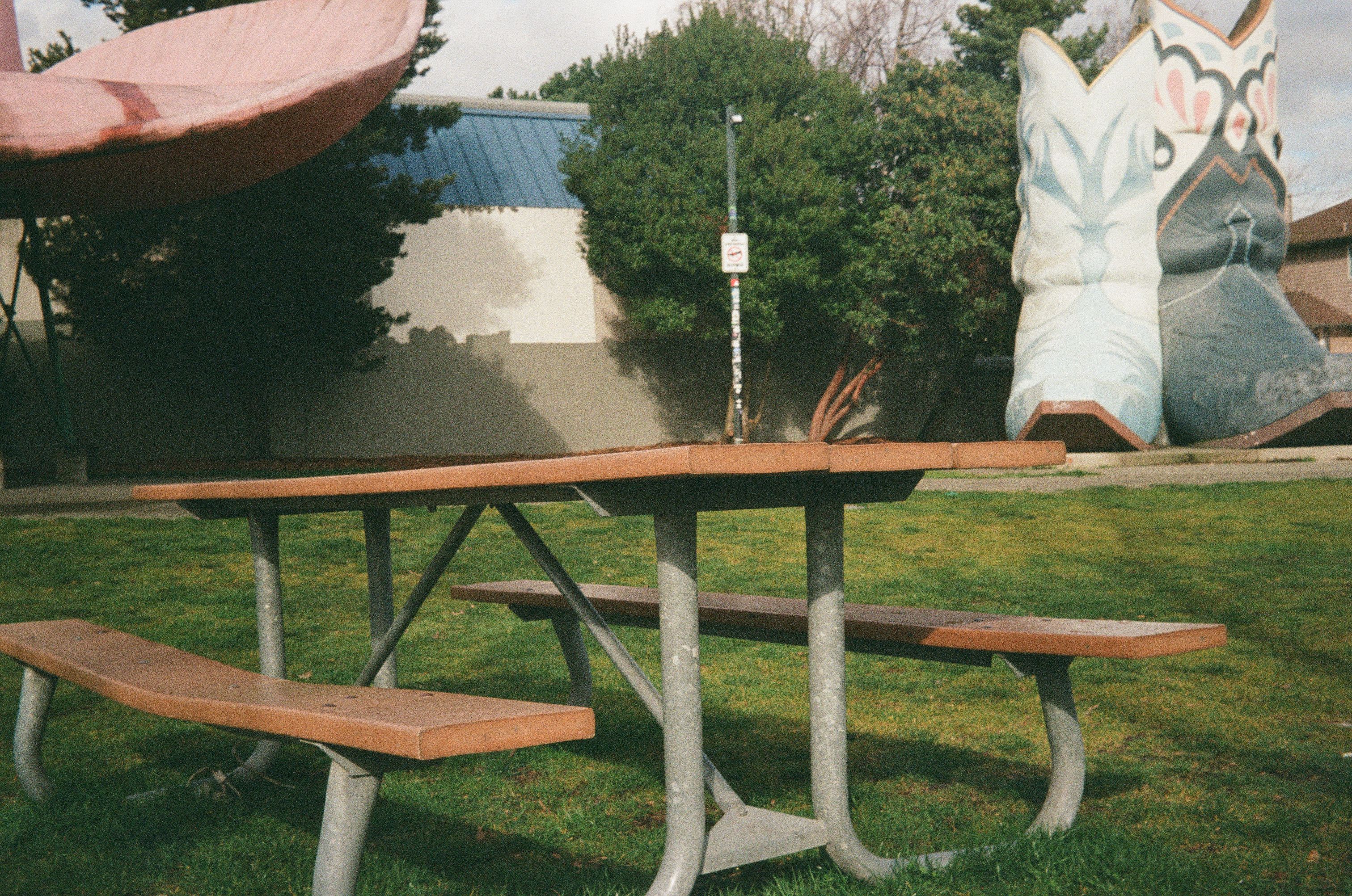 picnic, film photograph by Robert Corrigan