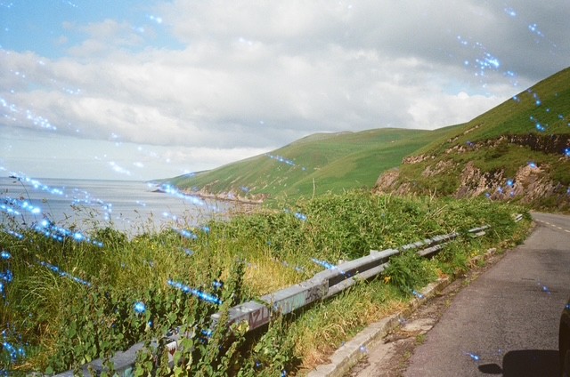 10/10 guardrail, film photograph by Robert Corrigan