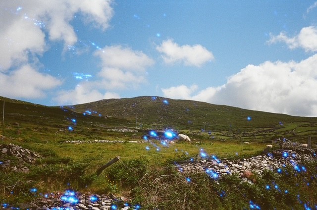 shoop, film photograph by Robert Corrigan