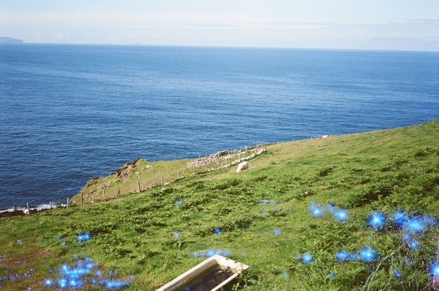 sea shapes, film photograph by Robert Corrigan