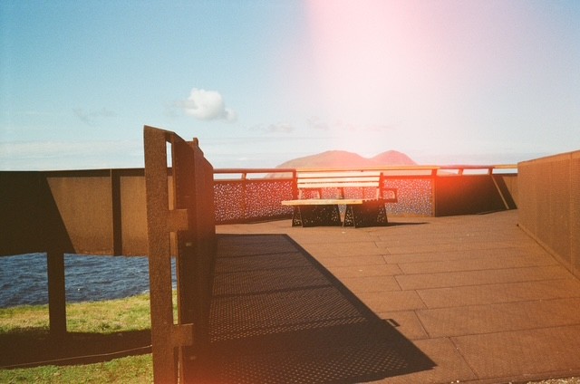 tinged mango, film photograph by Robert Corrigan